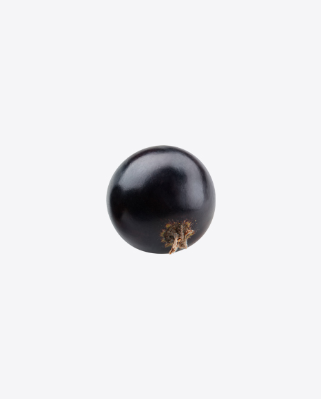 Black Currant Berry