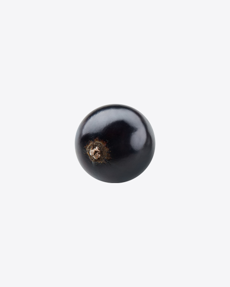 Black Currant Berry
