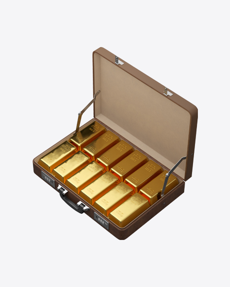 Leather Case with Gold Bars