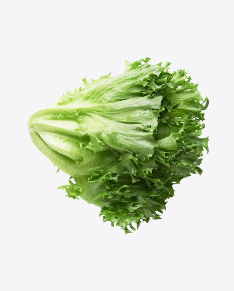 Frillis Salad PNG