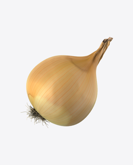 Onion Bulb PNG