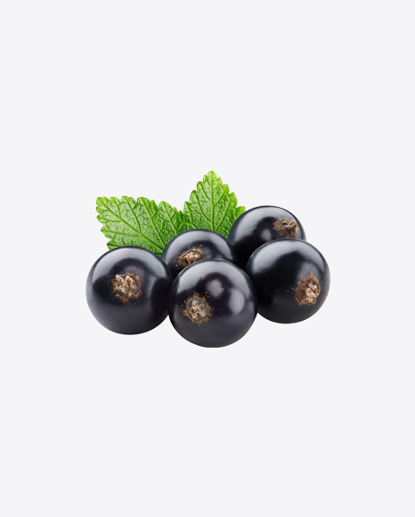 Black Currant Berry w/ Leaf PNG