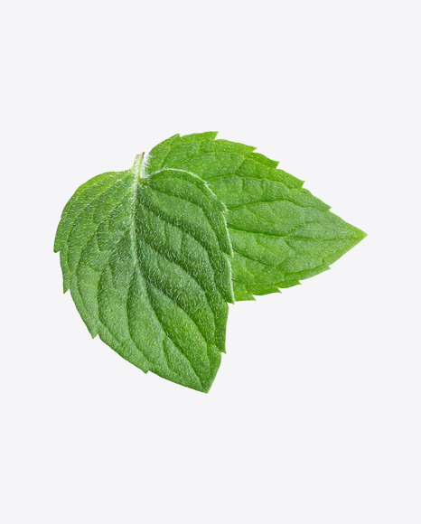 Mint Leaves PNG