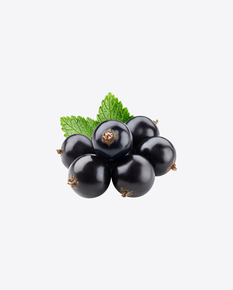 Black Currant Berries w/ Leaves PNG