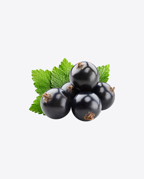 Black Currant Berries w/ Leaves PNG
