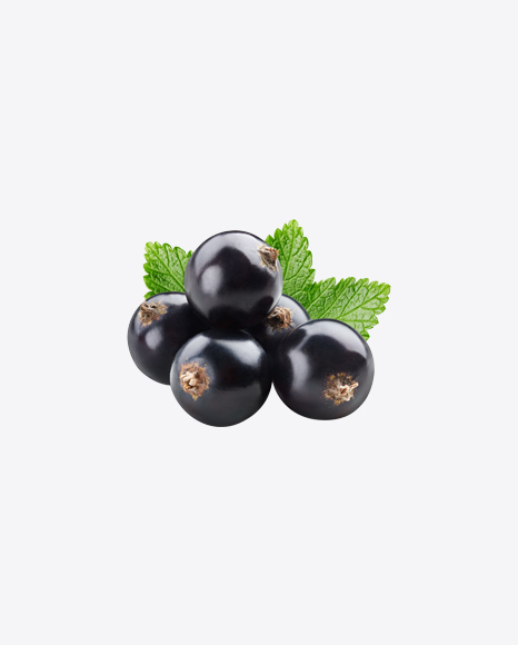 Black Currant Berries w/ Leaves PNG