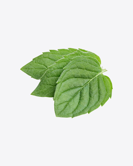 Mint Leaves PNG