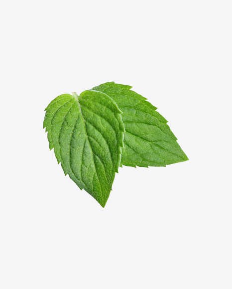 Mint Leaves PNG