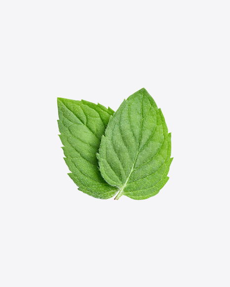 Mint Leaves PNG