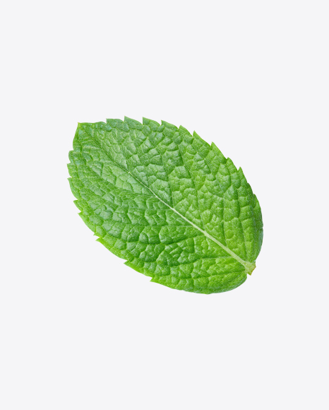 Mint Leaf PNG