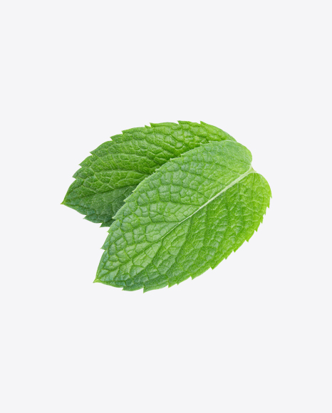 Mint Leaves PNG