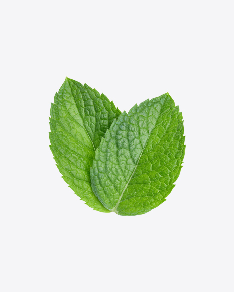 Mint Leaves PNG
