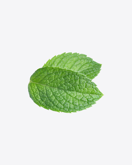 Mint Leaves PNG