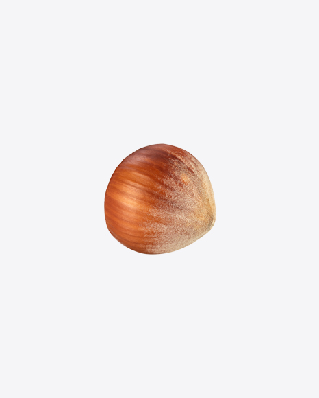 Hazelnut PNG