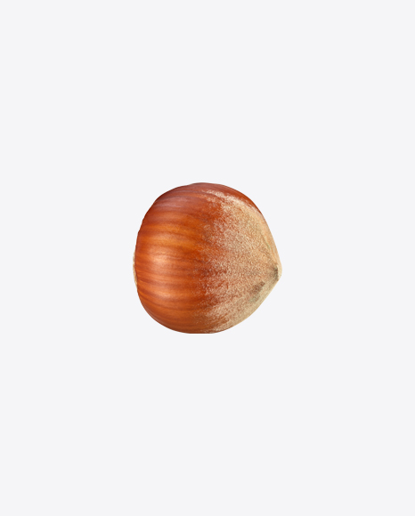 Hazelnut PNG