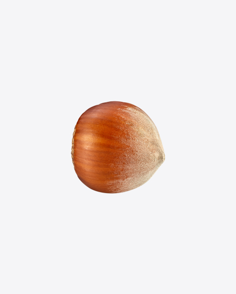 Hazelnut PNG