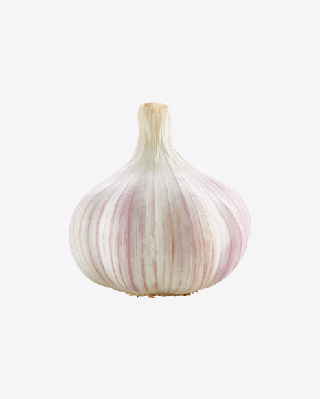 Garlic Bulb PNG