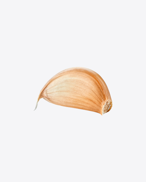 Garlic Clove PNG