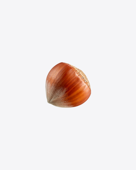 Hazelnut PNG
