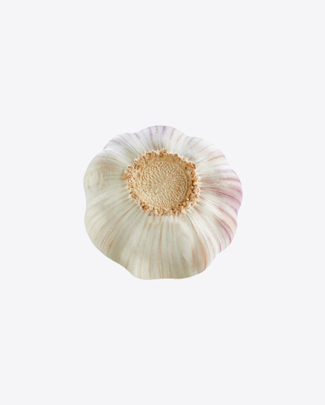 Garlic Bulb PNG