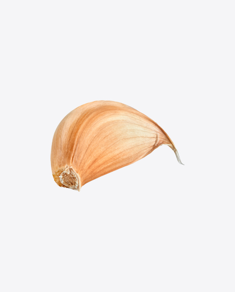Garlic Clove PNG