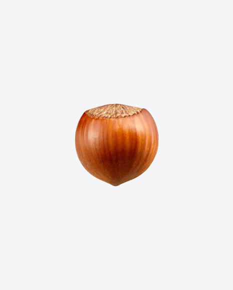 Hazelnut PNG