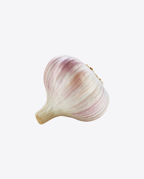 Garlic Bulb PNG