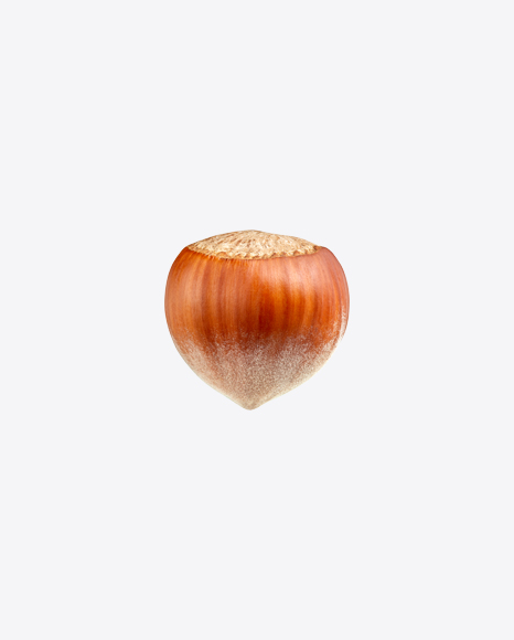 Hazelnut PNG