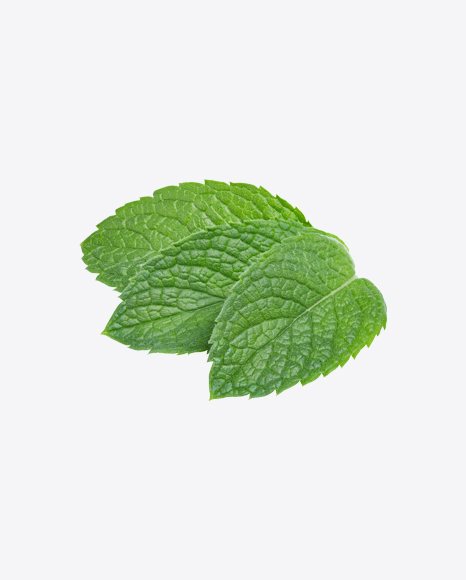 Mint Leaves PNG