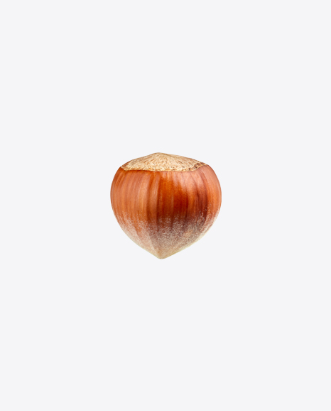 Hazelnut PNG