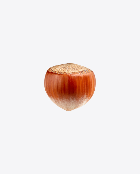 Hazelnut PNG