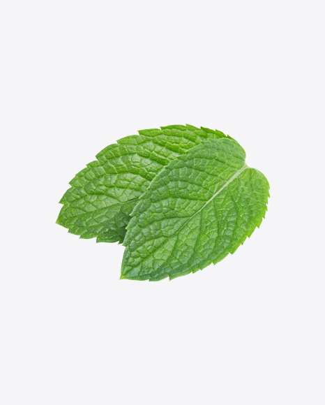 Mint Leaves PNG