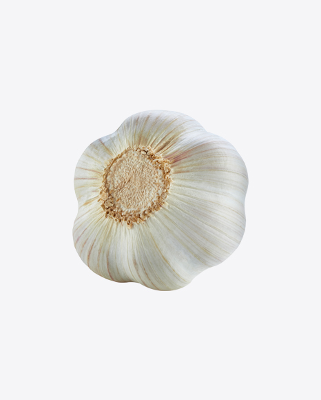 Garlic Bulb PNG