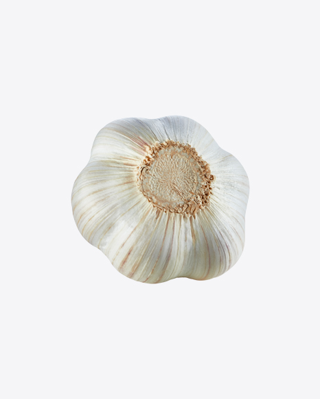 Garlic Bulb PNG