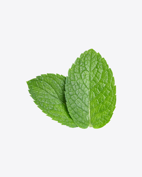 Mint Leaves