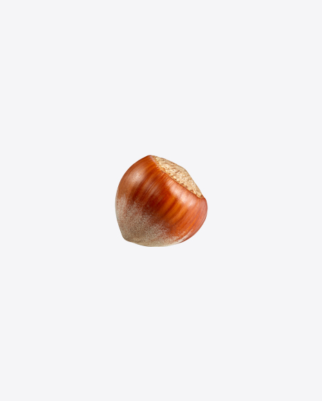 Hazelnut PNG