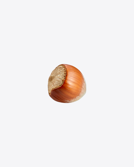 Hazelnut