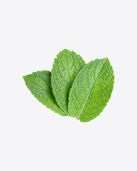 Mint Leaves