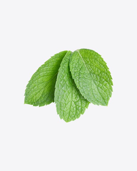 Mint Leaves PNG