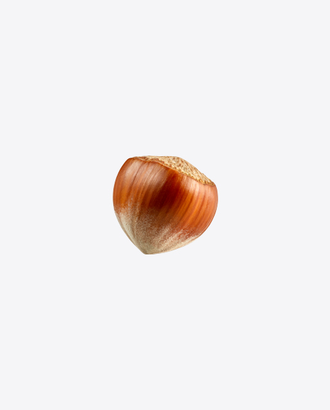 Hazelnut PNG