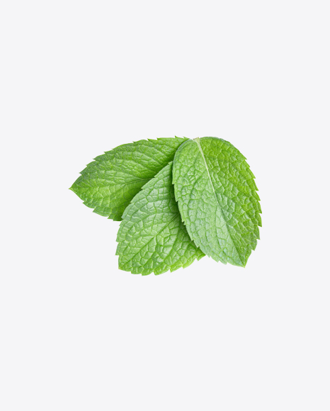 Mint Leaves PNG