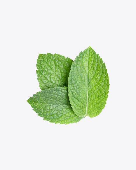 Mint Leaves PNG