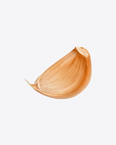 Garlic Clove PNG