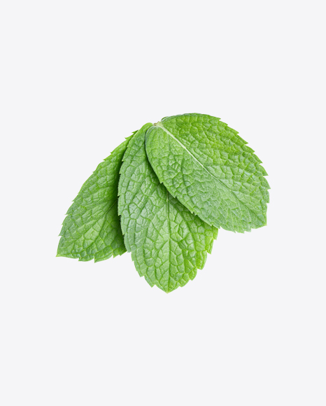Mint Leaves PNG