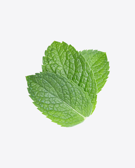 Mint Leaves PNG