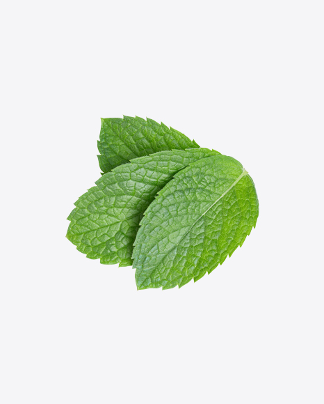 Mint Leaves PNG