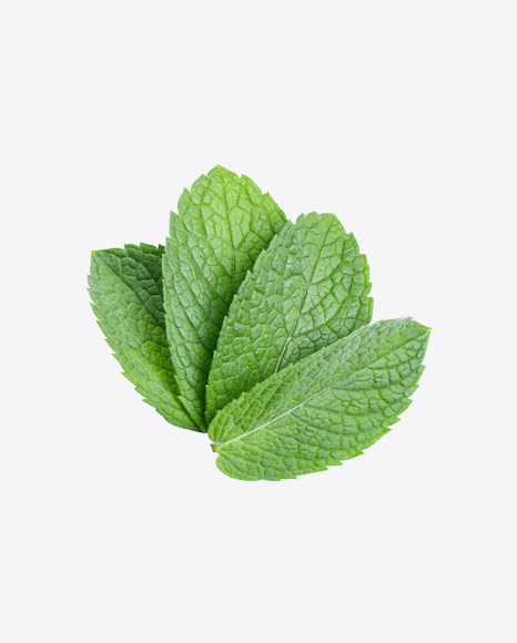 Mint Leaves PNG