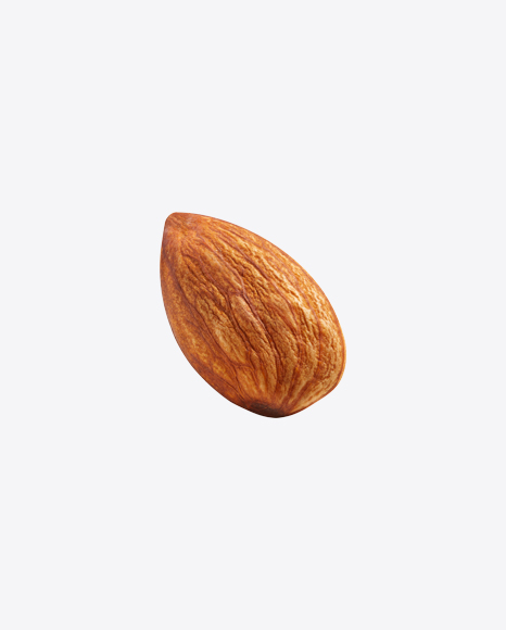 Almond Nut PNG