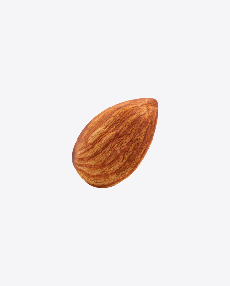 Almond Nut PNG