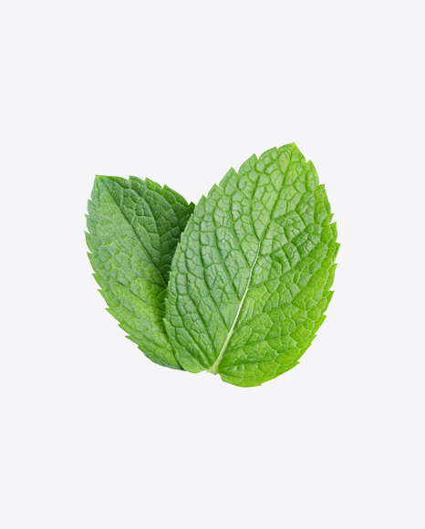 Mint Leaves PNG